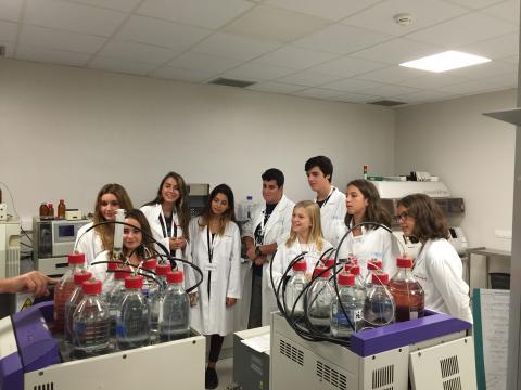 Asentimiento_informado